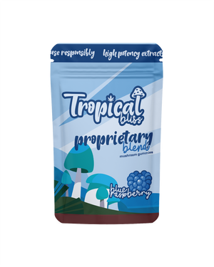Tropical Bliss Nootropic Mushroom Gummies 10 Pack Vegan